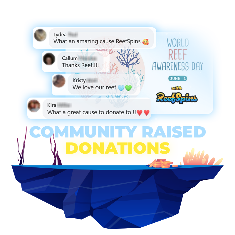reefspins-facebook-community-charity